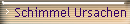 Schimmel Ursachen